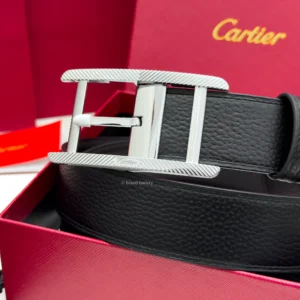 Silver Tank Buckle Black/Brown Leather Belt